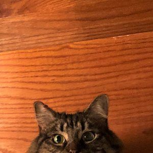 Mostly brand new things that don't fit me.